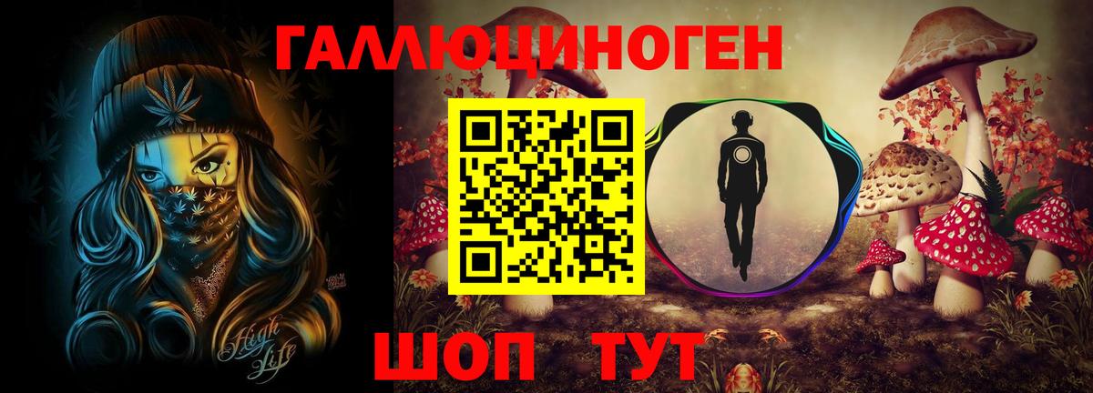 Семилуки  Галлюциногенные грибы Psilocybine cubensis  Вход с VPN 